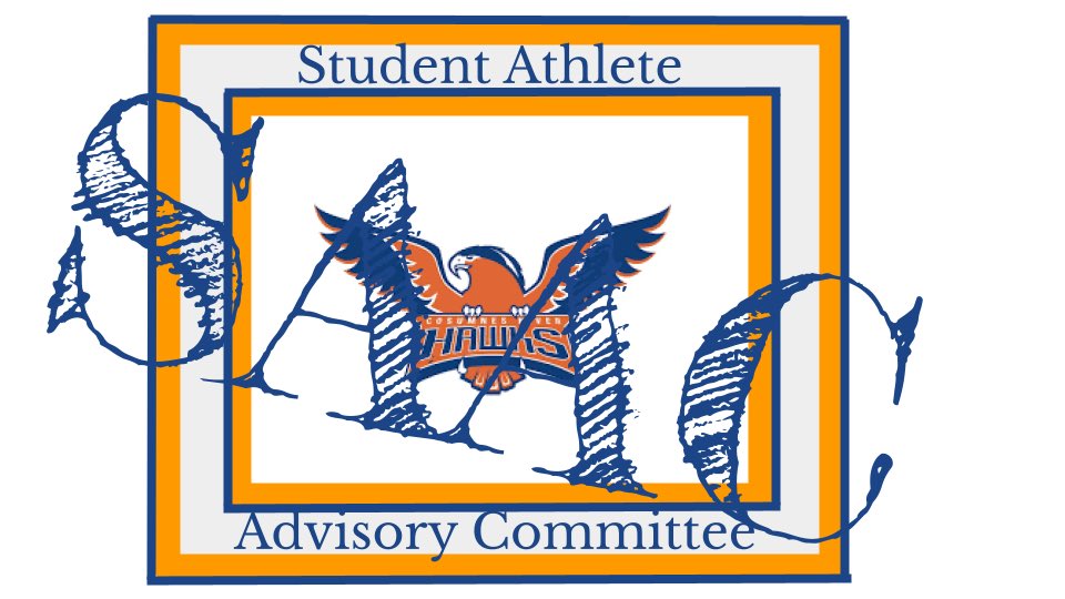 athletic-department-launches-student-athlete-advisory-committee-the